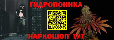 крисы Ливны