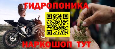 крисы Ливны