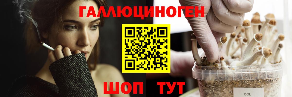 Псилоцибиновые грибы Cubensis  Вход с VPN  Воркута  Псилоцибиновые грибы Cubensis 